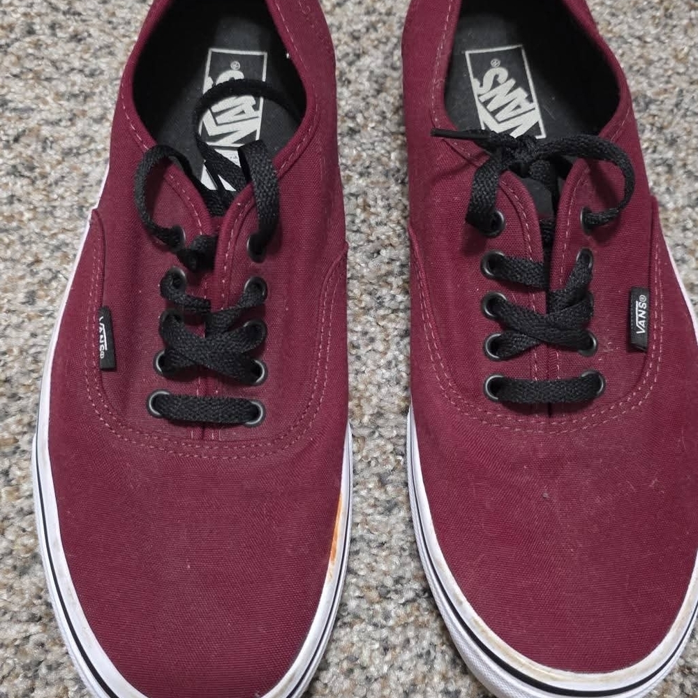 Vans Men's Deep Red Canvas Sneakers